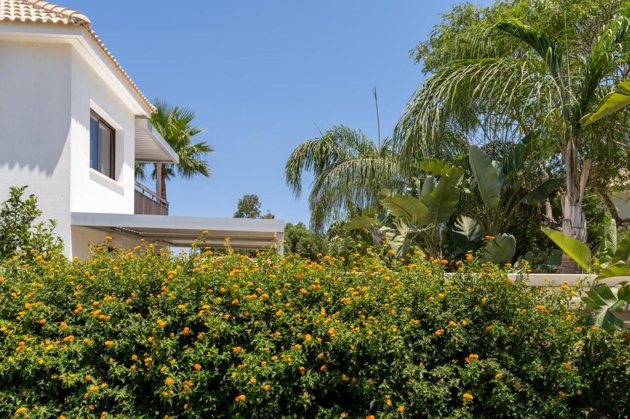 Lime 3-Bedroom Villa In Protaras Exteriér fotografie